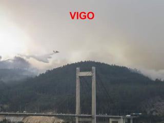 VIGO 