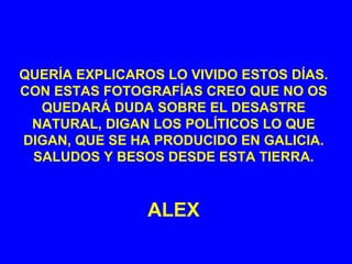 QUERÍA EXPLICAROS LO VIVIDO ESTOS DÍAS. CON ESTAS FOTOGRAFÍAS CREO QUE NO OS QUEDARÁ DUDA SOBRE EL DESASTRE NATURAL, DIGAN LOS POLÍTICOS LO QUE DIGAN, QUE SE HA PRODUCIDO EN GALICIA. SALUDOS Y BESOS DESDE ESTA TIERRA. ALEX 