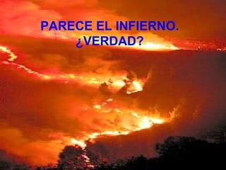 PARECE EL INFIERNO. ¿VERDAD? 