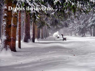 Depois do inverno...
 