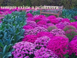 sempre existe a primavera.
 