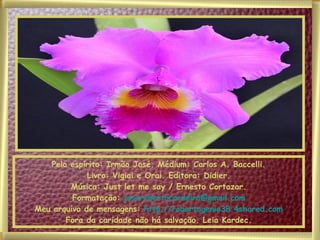 Pelo espírito: Irmão José. Médium: Carlos A. Baccelli. Livro: Vigiai e Orai. Editora: Didier. Música: Just let me say / Ernesto Cortazar. Formatação:  [email_address] Meu arquivo de mensagens:  http://robertogenio38.4shared.com Fora da caridade não há salvação. Leia Kardec. 