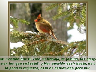 ¿Has sentido que tu vida, tu trabajo, tu familia, tus amigos  no son los que soñaste?  ¿Has querido decir basta, no vale la pena el esfuerzo, esto es demasiado para mí?  