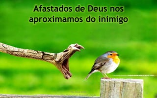 Afastados de Deus nos
aproximamos do inimigo
Pra. Rosa Acioli
http://almyalves.blogspot.com.br
9
 