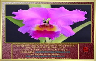 Pelo espírito: Irmão José. Médium: Carlos A. Baccelli. Livro: Vigiai e Orai. Editora: Didier. Música: Just let me say / Ernesto Cortazar. Formatação:  [email_address] Meu arquivo de mensagens:  http://robertogenio38.4shared.com Fora da caridade não há salvação. Leia Kardec. 