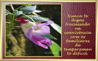 Nunca te digas fracassado na convivência com os familiares de temperamento difícil. 