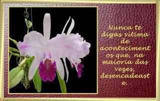 Nunca te digas vítima de acontecimentos que, na maioria das vezes, desencadeaste. 