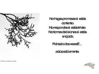 No hagas promesas si estás contento. No respondas si estás triste. No tomes decisiones si estás enojado. Piénsalo dos veces…,  actúa sabiamente. 