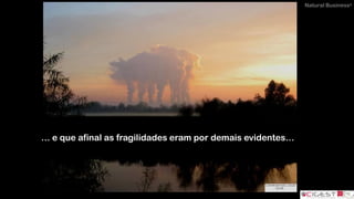 Natural Business®
… e que afinal as fragilidades eram por demais evidentes…
 