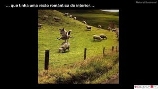 Natural Business®
… que tinha uma visão romântica do interior…
 