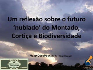 Nuno Oliveira (AmBioDiv – Valor Natural)
Um reflexão sobre o futuro
‘nublado’ do Montado,
Cortiça e Biodiversidade
 