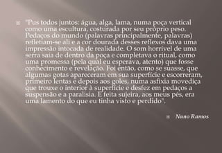 "Pus todos juntos: água, alga, lama, numa poça vertical como uma escultura, costurada por seu próprio peso. Pedaços do mundo (palavras principalmente, palavras) refletiam-se ali e a cor dourada desses reflexos dava uma impressão intocada de realidade. O som horrível de uma serra saía de dentro da poça e completava o ritual, como uma promessa (pela qual eu esperava, atento) que fosse conhecimento e revelação. Foi então, como se suasse, que algumas gotas apareceram em sua superfície e escorreram, primeiro lentas e depois aos goles, numa asfixia movediça que trouxe o interior à superfície e desfez em pedaços a suspensão e a paralisia. E feita sujeira, aos meus pés, era uma lamento do que eu tinha visto e perdido".Nuno Ramos