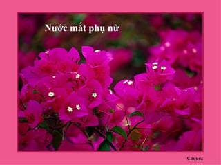 Nước mắt phụ nữ




                  Cliquez
 