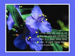 « Con thấy đó, con ạ, vẻ
đẹp của một phụ nữ không
phải ở y phục nàng đang
mặc, ở cách trang điểm,
hay ở kiểu tóc.
 