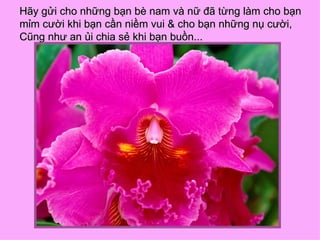 Hãy gửi cho những bạn bè nam và nữ đã từng làm cho bạn
mỉm cười khi bạn cần niềm vui & cho bạn những nụ cười,
Cũng như an ủi chia sẻ khi bạn buồn...
 