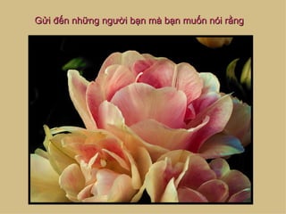 Gửi đến những người bạn mà bạn muốn nói rằng
 