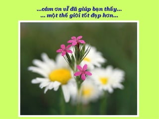 …cám ơ n vì đã giúp bạ n thấ y…
 … mộ t thế giớ i tố t đẹ p hơ n…
 