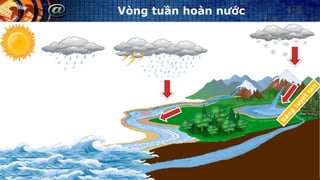 Vòng tuần hoàn nước
 