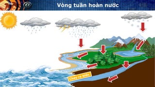 Vòng tuần hoàn nước
 