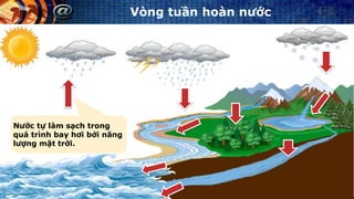 Nước tự làm sạch trong
quá trình bay hơi bởi năng
lượng mặt trời.
Vòng tuần hoàn nước
 