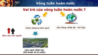Vai trò của vòng tuần hoàn nước ?
Chức năng tự làm sạch Cân bằng nhiệt độ - khí hậu
Vòng tuần hoàn nước
 