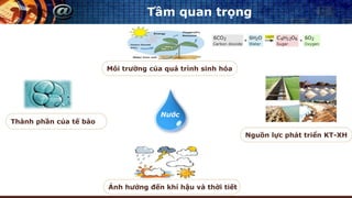 Tầm quan trọng
Nước
Nguồn lực phát triển KT-XH
Ảnh hưởng đến khí hậu và thời tiết
Thành phần của tế bào
Môi trường của quá trình sinh hóa
 