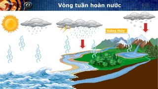 Giáng thủy
Vòng tuần hoàn nước
 