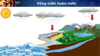 Vòng tuần hoàn nước
 