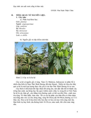 Quy trình sản xuất nước uống từ thảo mộc
GVGD: Như Xuân Thiện Chân
4
II. TỔNG QUAN VỀ NGUYÊN LIỆU.
1. Cây sake
a) Phân loại khoa học.
Giới: plantae
Ngành: angiospermae
Lớp: eudicots
Bộ: Rosales
Họ: moraceae
Chi: artocarpus
Loài: a. altilis
b) Nguồn gốc và đặc điểm sinh thái.
Hình 2.1 Cây và lá Sa kê
Cây sa kê có nguồn gốc ở vùng Nam Á ( Malaisia, Indonesia) và phân bố ở
nhiều đảo biển từ Nam Thái Bình Dương đến tận Hawaii. Nhiều tài liệu cho thấy
quả sa kê là một loại lương thực chủ yếu ở các đảo Thái Bình Dương từ xa xưa.
Cây thích ở điều kiện khí hậu nhiệt đới nóng ẩm, nên dần dần đã trở thành cây
trồng làm cảnh, tạo bóng hay lấy quả ở nhiều nước châu Á, trong đó có Việt Nam.
Sa kê là cây thân gỗ , cây thẳng tròn thường xanh có thể cao đến 30m , cánh mọc
tỏa rộng. Vỏ thân nhẵn, màu xám. Tất cả các bộ phận của thân đều có chứa nhựa
mủ trắng như mít. Lá lớn, bóng láng, rộng 40-50cm, dài 60-90cm, thường xẻ 5-11
thùy sâu. Hoa sa kê là hoa đơn tính, hoa đực và hoa cái mọc trên cùng một vây.
Quả hình trụ hay hình cầu đường kính 10-30 cm, màu xanh, khi chín màu vàng
nâu.
 