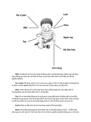 Nụ vị giác Lưỡi
Cân nặng
Mắt: Ăn dặm bé chỉ huy cho phép bé khám phá và phân biệt đưực nhiều màu sắc khác
nhau thông qua màu sắc của thức ăn thay vì một màu nhờ nhờ và hỗn độn của đồ ăn
nghiền nhuyễn.
Nụ v ị giác: Bé đưực sinh ra vói 10.000 nụ vị giác ở lưỡi và việc ăn dặm tự chủ giúp bé
có được sự trải nghiệm đầy thú vị vói các loại mùi vị khác nhau noi đầu lưỡi.
Mũi: Trước khi ăn, bé có thể ngửi đưực mùi vị đồ ăn giúp cho việc nhận biết và
thưởng thức món ăn thêm phần thú vị và hấp dẫn.
Tay: Sờ và cảm nhận bằng tay là cách quan trọng nhất giúp bé khám phá và tìm hiểu
về thế giói xung quanh. Các bé ăn dặm BLW sớm được làm quen và học được cách sử dụng
tay để cảm nhận và xử lý các loại hình dạng, kích cỡ, kết cấu khác nhau của mọi vật.
L ư ỡ i: Phản xạ đẩy lưỡi của bé sớm được phát triển hoàn thiện.
H àm : Hoạt động nhai giúp bé thực hành việc di chuyển miệng và lưỡi - là điều kiện
sẵn sàng cho việc tập nói. Việc bón thìa vói các thức ăn nghiền nhuyễn không tạo cơ hội cho
 
