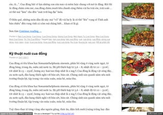 cóc, ổi…”. Cua đồng bắt về lựa những con còn non và mềm luộc chung với mớ ốc đắng. Rồi thì
       ốc đắng chấm cơm mẻ, cua đồng chấm muối tiêu chanh cộng thêm vài ba trái cóc, trái xoài …
       cứ thế mà “làm” cho đến “mát trời ông địa” luôn.


       Ở thôn quê, những món dân dã này mà “vô” độ vài ba ly là có thể “lên” vọng cổ Tình anh
       bán chiếu” đến rung rinh cả xóm mà chẳng biết… khan cổ là gì.


       Sưu tầm Continue reading →
       Posted in Ban Cua Dong, Cua Dong, Cua Dong Giong, Giong Cua Dong, Mon Ngon Tu Cua Dong, Mua Cua Dong,
       Nuoi Cua Dong, Tin Tức Cua Đồng | Tagged ban, ban cua dong, bán cua đồng, cua, cua dong, cua đồng, giong cua
       dong, mon ngon, mua, mua cua dong, mua cua đồng, nuoi cua dong, thu mua, thuong lai, vua cua | Để lại phản hồi




       Kỹ thuật nuôi cua đồng
       Posted on 24/11/2011


       Cua đồng có tên khoa học Somaniathelphusia sinensis, phân bố rộng ở vùng nước ngọt, từ
       đồng bằng, trung du, miền núi nước ta. Độ pH thích hợp từ 5,6 – 8, nhiệt độ từ 10 – 310C,
       tốt nhất là 15 – 250C, lượng oxy hoà tan thấp nhất là 2 mg/l. Cua đồng là động vật sống đáy,
       ưa nước sạch, đào hang thích nghi với bùn sét, bùn cát. Chúng sinh sản quanh năm nếu môi
       trường thuận lợi, tập trung vào mùa xuân, mùa hè, mùa thu.


       Cua đồng có tên khoa học Somaniathelphusia sinensis, phân bố rộng ở vùng nước ngọt, từ
       đồng bằng, trung du, miền núi nước ta. Độ pH thích hợp từ 5,6 – 8, nhiệt độ từ 10 – 310C,
       tốt nhất là 15 – 250C, lượng oxy hoà tan thấp nhất là 2 mg/l. Cua đồng là động vật sống đáy,
       ưa nước sạch, đào hang thích nghi với bùn sét, bùn cát. Chúng sinh sản quanh năm nếu môi
       trường thuận lợi, tập trung vào mùa xuân, mùa hè, mùa thu.


       Tuỳ theo thực tế từng vùng như nguồn giống, thức ăn, diện tích nuôi (ruộng trũng hay đào
open in browser PRO version       Are you a developer? Try out the HTML to PDF API                                      pdfcrowd.com
 