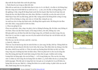 dắp mới) để chọn hình thức nuôi cho phù hợp.
       1. Nuôi chuyên cua trong ao diện tích nhỏ
       Diện tích ao nuôi căn cứ vào điều kiện thực tế sẵn có về vị trí địa lý, vốn đầu tư, hệ thống thuỷ
       lợi toàn vùng mà có thể thiết kế ao nuôi cua từ 3 – 5 sào. yêu cầu đáy ao bằng phẳng, có tốc
       độ nghiêng về đáy cống để dễ dàng thoát nước khi thu hoạch. Đáy bùn là sét hoặc bùn cát
       thuận lợi cho việc đắp bờ đầm nén chắc chắn. Khi làm vệ sinh đáy ao nên cho một tỷ lệ cát
       thích hợp sẽ hạn chế cua đào hang, phá bờ. Đáy ruộng nuôi có hệ thống kênh xương cá song
       song với bờ ao hướng ra cống, mức sâu so với mặt đáy ruộng là 40 cm.
       Ao nuôi cua cần có cống cấp thoát nước, chủ động được nguồn nước. Hệ thống bờ cần đầm
       nén chắc chắn, xung quanh có lưới rào chắn.
       2. Chọn cua giống bố mẹ
       Chọn cua mái mẩy, chắc, càng vừa phải, yếm to, không bị thương, đầy đủ chân, mai, không có
       rêu bám. Chọn cua đực khoẻ mạnh, có bộ càng to khoẻ, yếm nhỏ, không xây xước.
       Khi giao phối cua cái được thụ tinh ôm trứng trong yếm, nở thành con nằm trong yếm mẹ
       được bảo vệ, sau hơn 10 ngày cua con rời yếm mẹbơi trôi nổi hoặc dạt vào bờ kiếm mồi, lột
       vỏ rồi lớn dần lên.
       Nên thả cua vào lúc trời mát, mật độ 1 con/m2.
       3. Quản lý, chăm sóc
       Thức ăn: Cua là loài ăn tạp như ăn mùn bã hữu cơ, cám rang, bã đậu, khô lạc. Chúng thích ăn
       nhất là thịt các loài nhuyễn thể như trai ốc hến, thịt cá tạp. Nếu thiếu thức ăn chúng sẽ ăn thịt   More Photos
       lẫn nhau, nhất là cua mới lột vỏ. Thức ăn nuôi cua thường được khi thác tại chỗ, tuỳ theo
       từng vùng mà có những loại thức ăn khác nhau. Thức ăn phải tươi và cho cua ăn tăng dần
       theo liều lượng phù hợp để tránh hiện tượng dư thừa thức ăn gây ô nhiễm môi trường.
       Lượng thức ăn hàng ngày cho cua ăn bằng 7 – 10% trọng lượng cua. Cho cua ăn vào sáng
       sớm và chiều tà, buổi sáng cho ăn lượng thức ăn chiếm 1/3, buổi chiều cho ăn 2/3 lượng thức
       ănôtrong ngày. Nên đặt một số sàng thức ăn ở các góc ao và nơi giữa bờ và ao để kiểm tra
       lượng thức ăn của cua. Định kỳ 1 tháng/lần kiểm tra sự sinh trưởng và phát triển của cua để
       điều chỉnh lượng thức ăn cho phù hợp.

open in browser PRO version   Are you a developer? Try out the HTML to PDF API                                           pdfcrowd.com
 