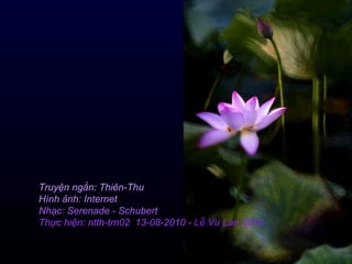Truyện ngắn: Thiên-Thu   Hình ảnh: Internet Nhạc: Serenade - Schubert Thực hiện: ntth-trn02  13-08-2010 -  Lễ Vu Lan 2010   