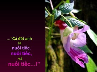 …“ Cả  đời   anh   là  nuối tiếc ,   nuối tiếc,   và  nuối tiếc…!” 