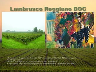 The Lambrusco Rreggiano wine boasts the DCO ( Denomination of Controlled Origin) as typical of our
land, Reggio Emilia.
The vines are indigenous and have been cultivated since Roman times.
Grapes ripen in large vineyards during hot sunny summertimes with temperatures up to 40° C
 
