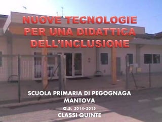 SCUOLA PRIMARIA DI PEGOGNAGA
MANTOVA
a.s. 2014-2015
CLASSI QUINTE
 