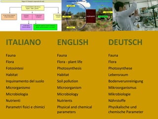 ITALIANO ENGLISH DEUTSCH
Fauna Fauna Fauna
Flora Flora - plant life Flora
Fotosintesi Photosynthesis Photosynthese
Habitat Habitat Lebensraum
Inquinamento del suolo Soil pollution Bodenverunreinigung
Microrganismo Microorganism Mikroorganismus
Microbiologia Microbiology Mikrobiologie
Nutrienti Nutrients Nährstoffe
Parametri fisici e chimici Physical and chemical
parameters
Physikalische und
chemische Parameter
 