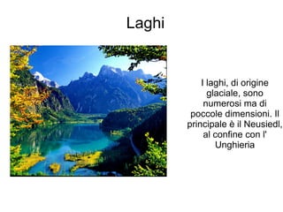Laghi
I laghi, di origine
glaciale, sono
numerosi ma di
poccole dimensioni. Il
principale è il Neusiedl,
al confine con l'
Unghieria
 