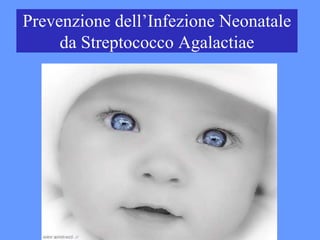 Prevention of Perinatal group B
streptococcal disease.Revised
Prevenzione dell’Infezione Neonatale
da Streptococco Agalactiae
 