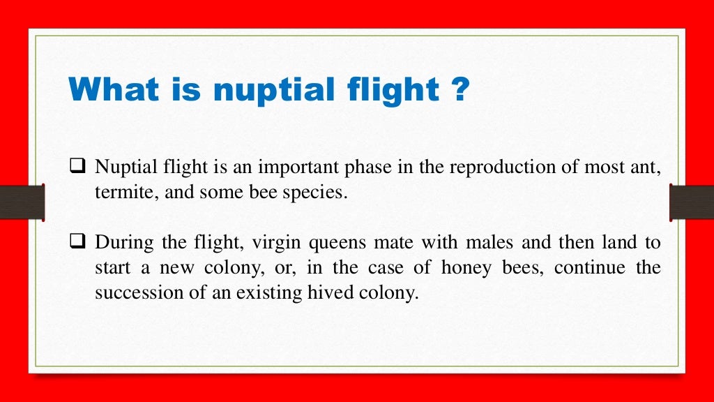 Nuptial flight