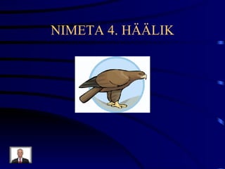 NIMETA 4. HÄÄLIK 