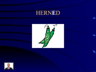HERN E D 