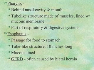 Pharynx -

Behind nasal cavity & mouth

Tubelike structure made of muscles, lined w/
mucous membrane

Part of respiratory & digestive systems
Esophagus -

Passage for food to stomach

Tube-like structure, 10 inches long

Mucous lined

GERD - often caused by hiatal hernia
 