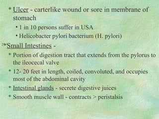 
Ulcer - carterlike wound or sore in membrane of
stomach
• 1 in 10 persons suffer in USA
• Helicobacter pylori bacterium (H. pylori)
Small Intestines -

Portion of digestion tract that extends from the pylorus to
the ileocecal valve

12- 20 feet in length, coiled, convoluted, and occupies
most of the abdominal cavity

Intestinal glands - secrete digestive juices

Smooth muscle wall - contracts > peristalsis
 