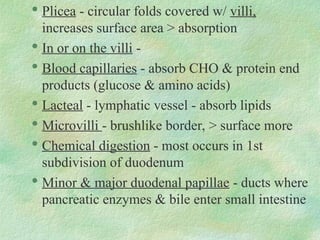 
Plicea - circular folds covered w/ villi,
increases surface area > absorption

In or on the villi -

Blood capillaries - absorb CHO & protein end
products (glucose & amino acids)

Lacteal - lymphatic vessel - absorb lipids

Microvilli - brushlike border, > surface more

Chemical digestion - most occurs in 1st
subdivision of duodenum

Minor & major duodenal papillae - ducts where
pancreatic enzymes & bile enter small intestine
 
