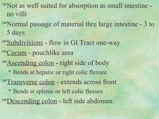 Not as well suited for absorption as small intestine -
no villi
Normal passage of material thru large intestine - 3 to
5 days
Subdivisions - flow in GI Tract one-way
Cecum - pouchlike area
Ascending colon - right side of body

Bends at hepatic or right colic flexure
Transverse colon - extends across front

Bends at splenic or left colic flexure
Descending colon - left side abdomen
 