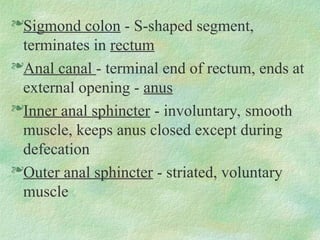 Sigmond colon - S-shaped segment,
terminates in rectum
Anal canal - terminal end of rectum, ends at
external opening - anus
Inner anal sphincter - involuntary, smooth
muscle, keeps anus closed except during
defecation
Outer anal sphincter - striated, voluntary
muscle
 