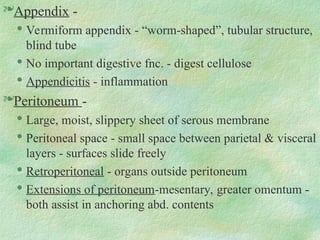 Appendix -

Vermiform appendix - “worm-shaped”, tubular structure,
blind tube

No important digestive fnc. - digest cellulose

Appendicitis - inflammation
Peritoneum -

Large, moist, slippery sheet of serous membrane

Peritoneal space - small space between parietal & visceral
layers - surfaces slide freely

Retroperitoneal - organs outside peritoneum

Extensions of peritoneum-mesentary, greater omentum -
both assist in anchoring abd. contents
 