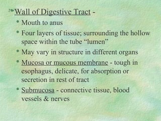 Wall of Digestive Tract -

Mouth to anus

Four layers of tissue; surrounding the hollow
space within the tube “lumen”

May vary in structure in different organs

Mucosa or mucous membrane - tough in
esophagus, delicate, for absorption or
secretion in rest of tract

Submucosa - connective tissue, blood
vessels & nerves
 