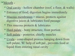 Mouth -

Oral cavity - hollow chamber (roof, a floor, & walls)

Entrance of food; digestion begins immediately

Mucous membranes > mucus, protects against
digestive juices & lubricates food passage

This mucous protects & lubricates

Hard palate - bony structure, front portion

Soft palate - posterior, chiefly muscles

Uvula - cone-shaped process hanging down from
soft palate. W/ help of soft pal., prevents food or
liquid from entering nasal cavity
 